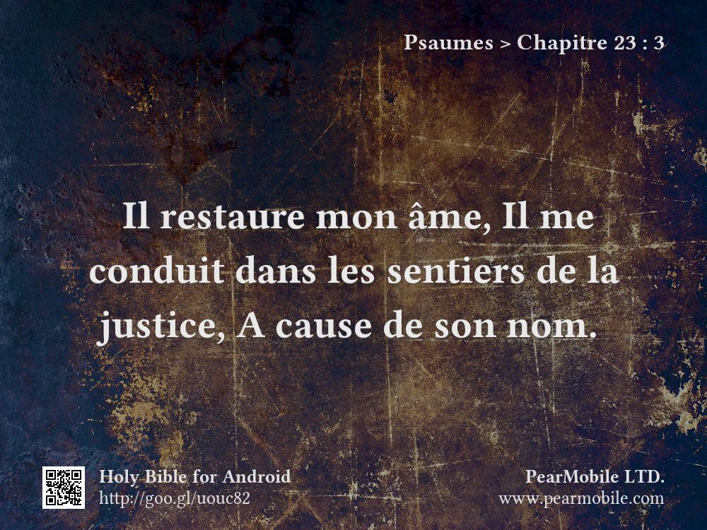 Psaumes, Chapitre 23:3